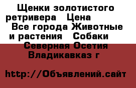 Щенки золотистого ретривера › Цена ­ 15 000 - Все города Животные и растения » Собаки   . Северная Осетия,Владикавказ г.